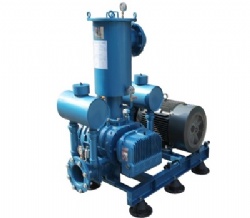 ZDSR-V Series Roots Vacuum Pump